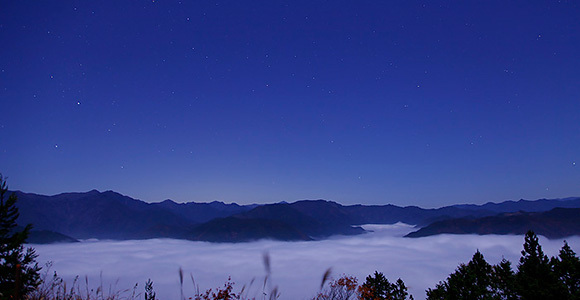 雲海