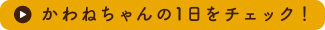 かわねちゃんの1日をチェック！